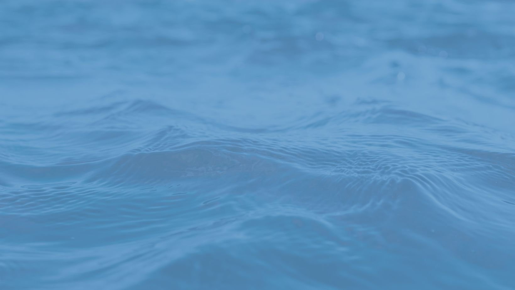 1 Toilet Leak Prevention Valve For Landlords The Water Scrooge